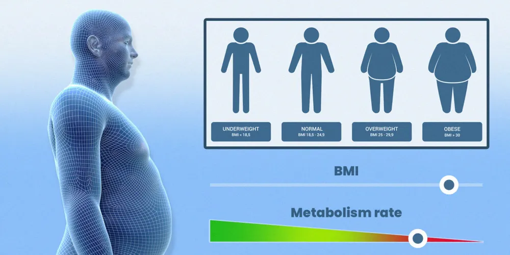 slow metabolism